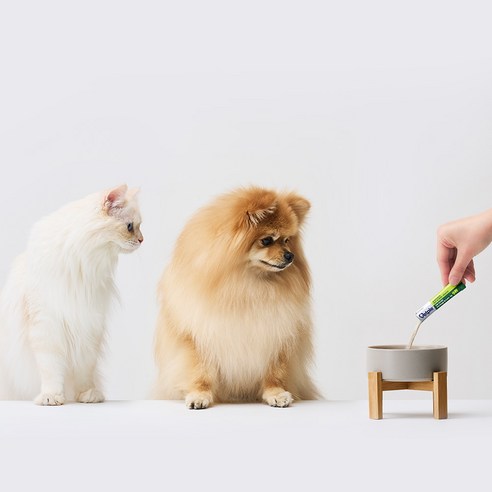 벳플 동아제약 반려동물 락토덴탈 영양제 후기 분석 - 제품 사이즈 비교