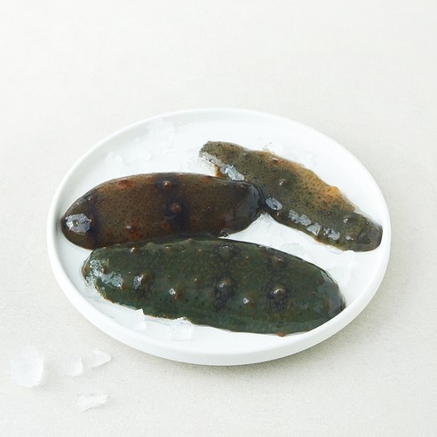 중앙씨푸드(주) 국내산 남해안 해삼 (냉장), 1개, 200g