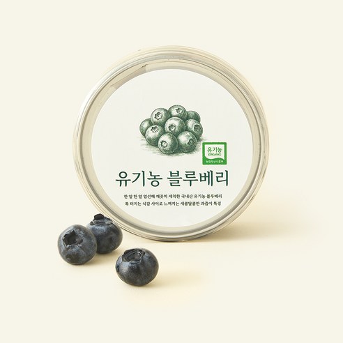 유기농 인증 바로먹는 블루베리, 1개, 100g