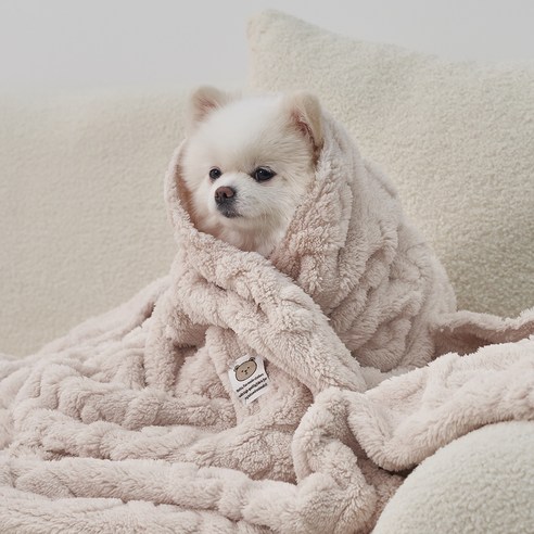 도그아이 반려동물 펫 꽈배기 담요, 아이보리, 1개