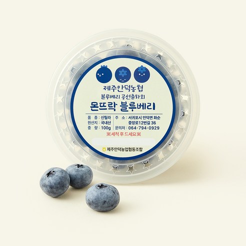제주안덕농협 몬뜨락 왕블루베리, 100g, 1개