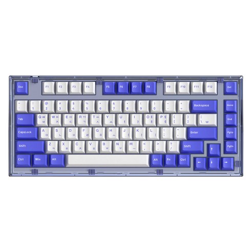 앱코 가스켓 마운트 유무선 블루투스 기계식 키보드 82key, 퍼플블루, AG75W, 적축