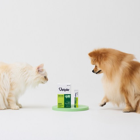 벳플 동아제약 반려동물 락토덴탈 영양제 후기 분석 - 스틱 포장 상세