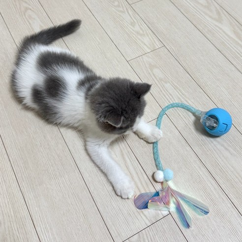 MAAH 고양이 자동 움직이는 장난감 쥐잡기 스마트 파스텔 볼 솔직 후기 | 실사용자 리뷰 분석 - 상품 이미지 3