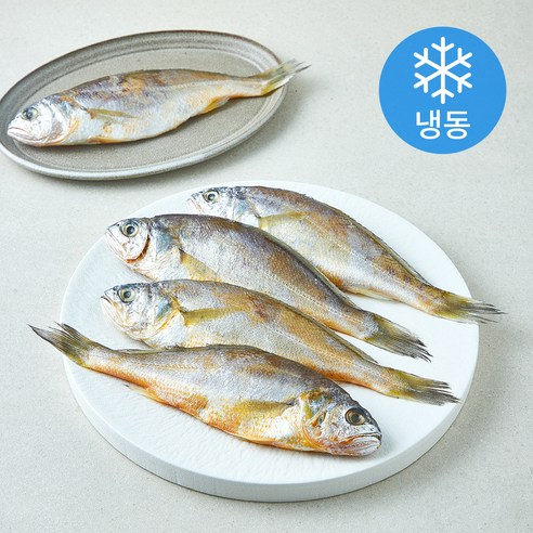 초록바다 굴비 (냉동), 5개, 500g