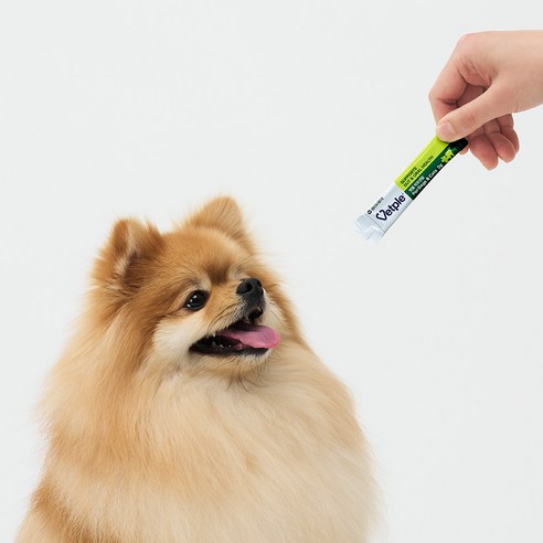 벳플 동아제약 반려동물 락토덴탈 영양제 후기 분석 - 급여 방법 안내