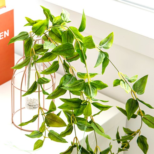 花盆 TP00028600000255_01_006_R.jpg