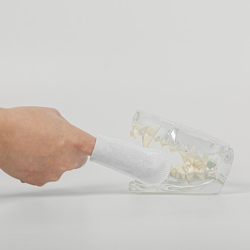 붐붐포 반려동물 듀얼 치카 패드 60p 솔직 후기 | 실제 사용자 리뷰 총정리 - 상품 이미지 3