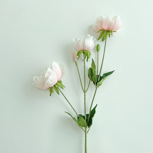 베누디 조화 아네모네, 연핑크, 1개