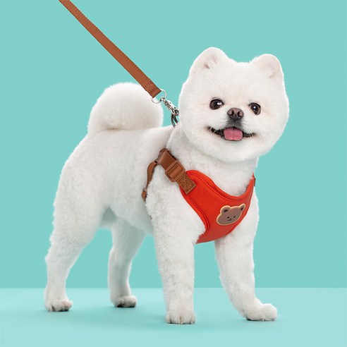 파스텔펫 반려동물 곰돌이 하네스 + 리드줄 세트, 레드, 1세트