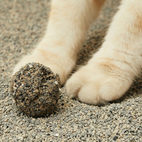 동원아르르 푸푸 베이직 벤토나이트 고양이 모래 후기 분석 - 수분 흡수력