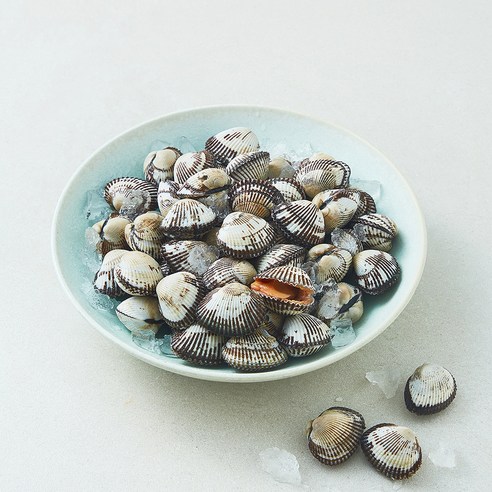아라보감 여수 생물 새꼬막 (냉장), 1개, 1kg