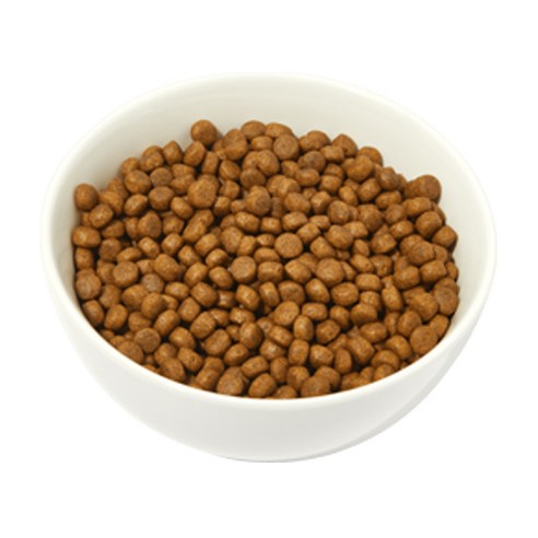 잘먹잘싸 전연령 강아지 건식사료 솔직 후기 | 실제 사용자 리뷰 총정리 - 상품 이미지 3