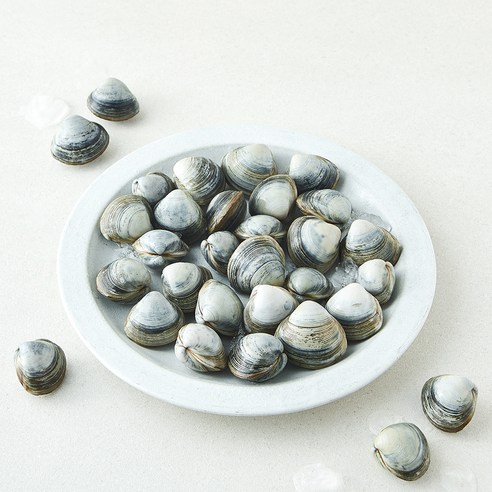 바다림 서해안 생물 동죽조개 (냉장), 1개, 400g