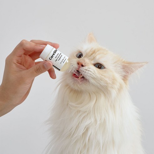 버디부 고양이 케어샷 올인원 솔직 후기 | 실제 사용자 리뷰 총정리 - 상품 이미지 4