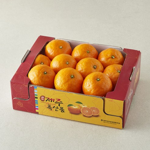 제주위미농협 당도선별 카라향, 1개, 2kg(대과, 8~10입)