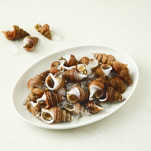 이프로마켓 동해안 당일바리 살고동 소 생물 원물중량 1kg (냉장), 800g(소), 1개