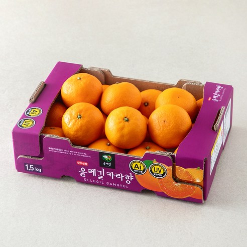 올레길 AI 당도선별 카라향, 1.5kg, 1개
