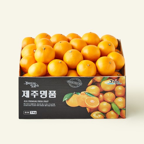 제주 남원농협 sweet Ugly 못난이 천혜향 랜덤과, 1개, 5kg