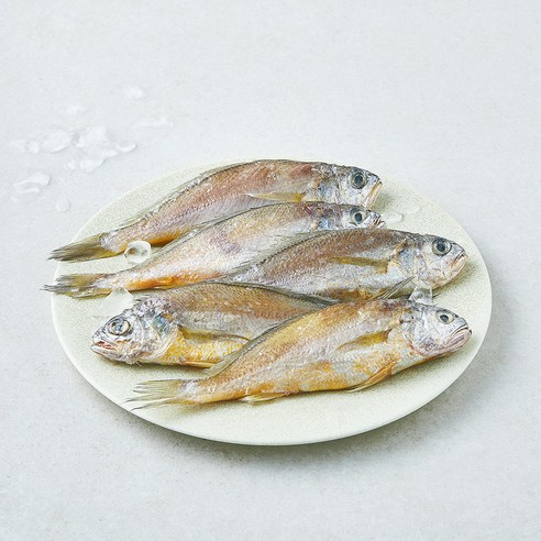 소금간 참조기 5미 (냉장), 1개, 300g