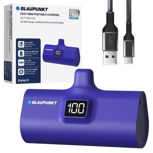 블라우풍트 LED 도킹형 고속충전 보조배터리 5000mAh, BLUE, BLP-PB615B