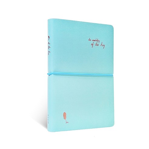 아이씨엘디자인 of the day 다이어리 만년형, 민트, 1개