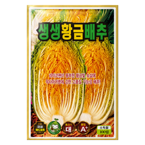 씨앗팜 김장 국산 생생황금배추 씨앗 100p