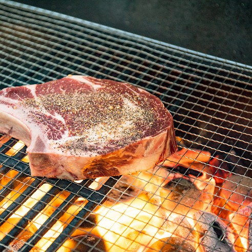 브리즈문 일회용 석쇠 바베큐 그릴 불판 이미지 4