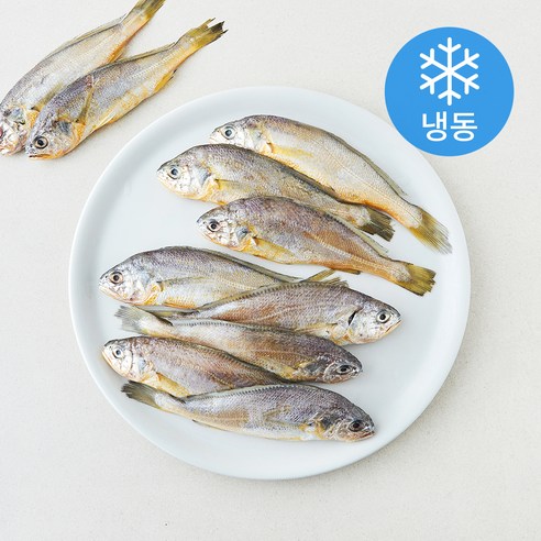 중매인신훈식 맑은소금 제주 참조기 (냉동), 1개, 700g(10미)
