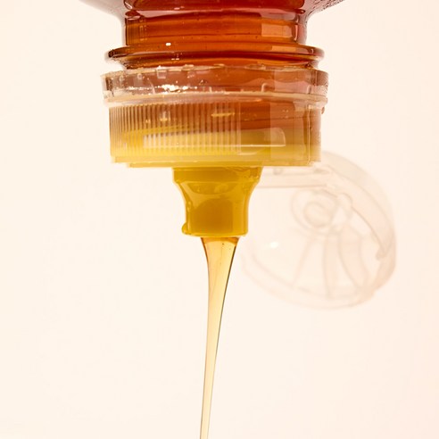 정원담 프리미엄 자연 야생화 순수 벌꿀 500g, 1개 이미지 4