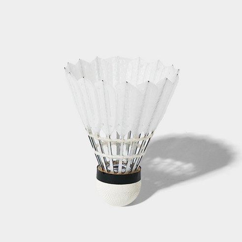 빅터 배드민턴 셔틀콕 카본 NCS PRO NS 이미지 4