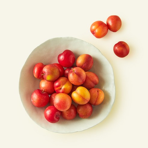 당찬 꼬마 자두, 1개, 1kg
