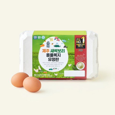 조인 동물복지 인증 제주 새싹보리 갈색 유정란 780g, 1개, 15구