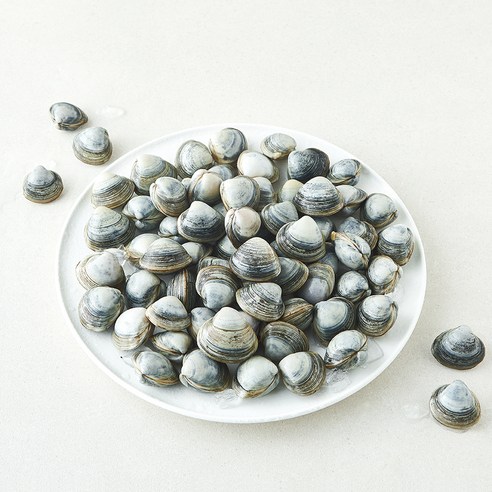 바다림 서해안 생물 동죽조개 (냉장), 1개, 1kg