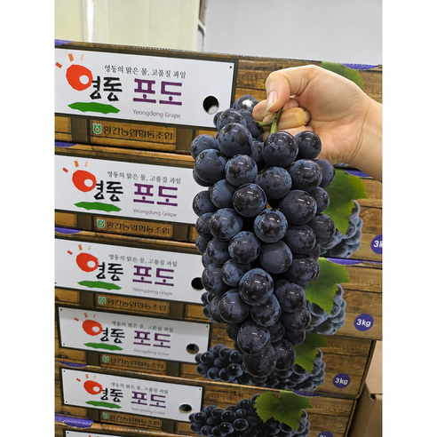 깨비네 [백화점납품] 로얄과 포도 당도선별 - 포도