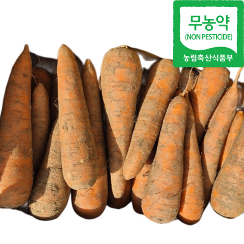 매일 아침, 씁쓸함 대신 싱그러움을 전하는 비결 주스용당근