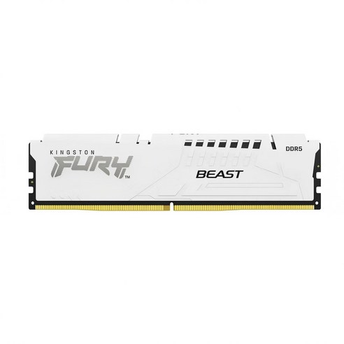 Kingston E-스포츠 DDR5 5600MHz 데스크톱용 램 16GB 화이트, 1개, KF556D40BW