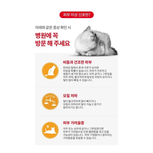 로얄캐닌 헤어&스킨 10kg 이미지 3