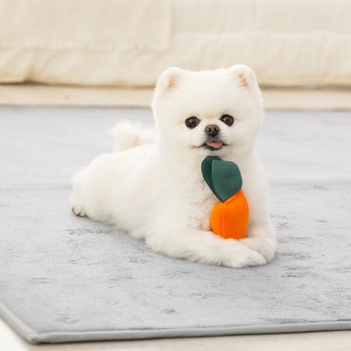 레토 강아지 노즈워크 장난감 플라워 당근밭 담요 매트 후기 분석 - 사용 모습 예시