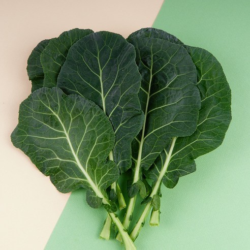 당일수확 신선한 쌈채소 케일 1kg