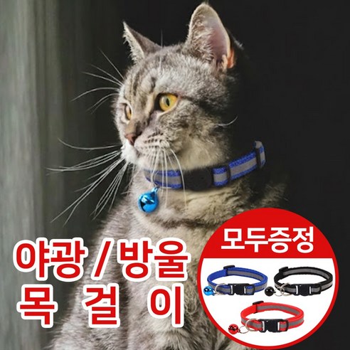 아임봄 고양이 위치찾기 딸랑이 방울 목걸이 야광 목줄, 1세트, 레드+블루+블랙