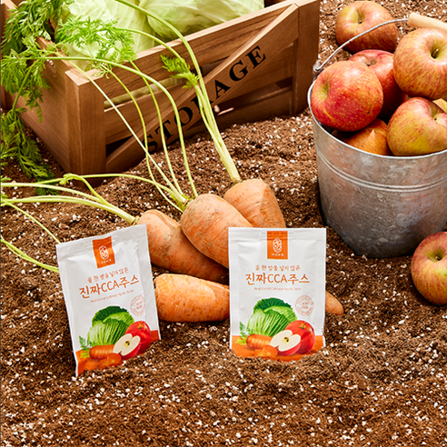 물한방울없이 국내산 통째로갈아만든 자연비책 CCA주스 100ml, 30개 이미지 3