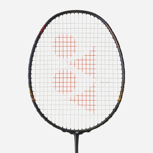 이제 더 이상 끙끙거리지 마세요 배드민턴 실력 향상의 비밀 나노플레어170