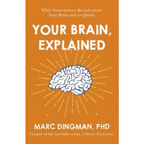 (영문도서)Your Brain Explained: What Neuroscience Reveals about Your Brain and Its Quirks Paperback, English, 9781473696563, John Murray Business