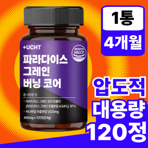 유캔헬씨 파라다이스 그레인 버닝 추출물 그래인 플러스, 1개, 120정