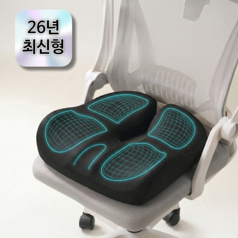 소담리빙 하중분산 통기성 꼬리뼈 방석, 블랙(메쉬)