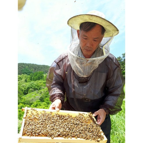 [건강 선물] 국내산 순수 감로꿀 2.4kg 설탕 한방울 없는 함평청정꿀... 솔직 후기 | 실사용자 리뷰 분석 - 상품 이미지 3