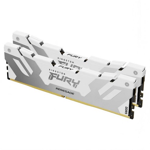 킹스톤 퓨리 레니게이드 DDR5 데스크톱 메모리 16GB 6400MHz C32 화이트 2개입, 1개, KF564C32RSWK2-16