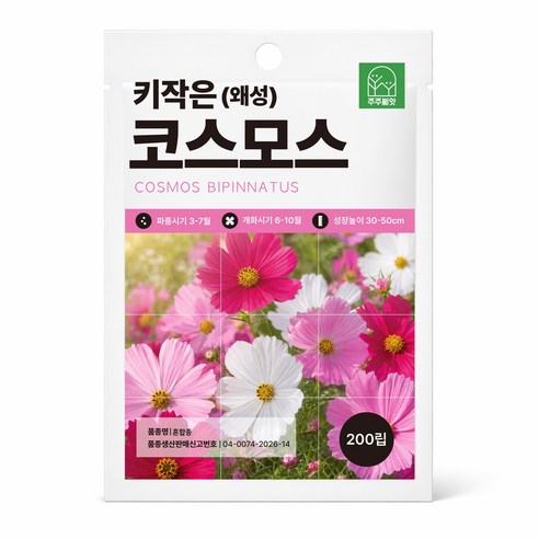 [주주씨앗] 왜성 코스모스씨앗 200립 키작은 왜성 코스모스 종자 씨 봄 여름 가을 파종 오래피는 꽃씨 야생화 꽃씨몰 키우기, 1개