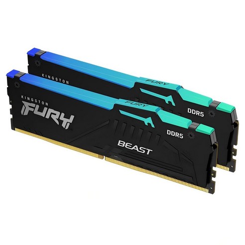 킹스톤 퓨리 비스트 DDR5 데스크톱 메모리 16GB 6800MHz C34 RGB 블랙 2개입, 1개, KF568C34RBBK2/16